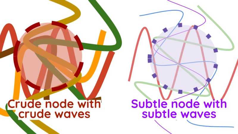 Living and non-living mind