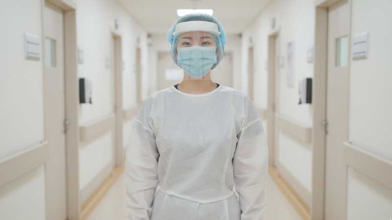 Viruses are in-between Life and Ideas