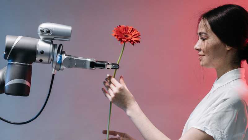 The Metaphysics Of Value